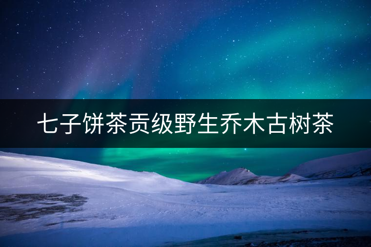 七子餅茶貢級(jí)野生喬木古樹茶 七子餅茶貢級(jí)野生喬木古樹茶