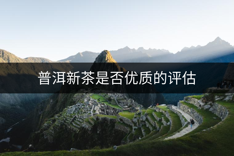 普洱新茶是否優(yōu)質的評估