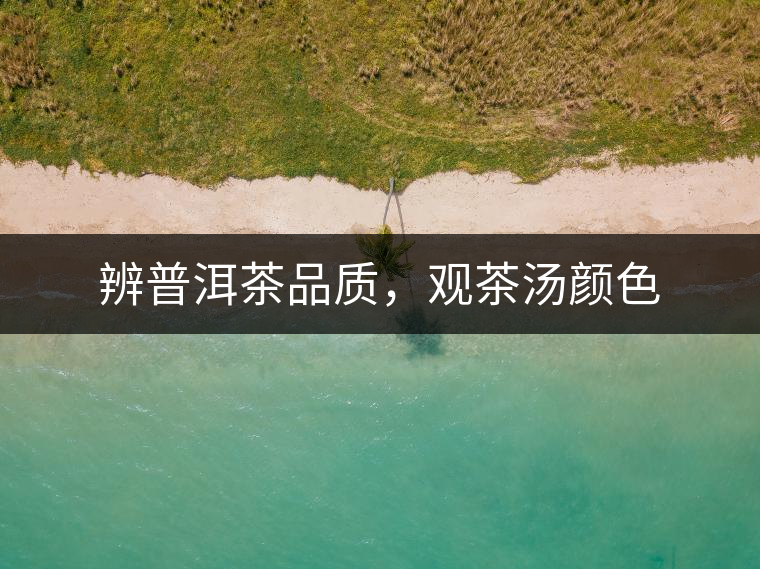 辨普洱茶品質(zhì)，觀茶湯顏色