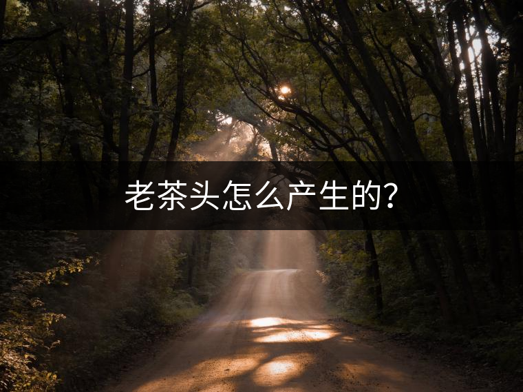老茶頭怎么產(chǎn)生的？