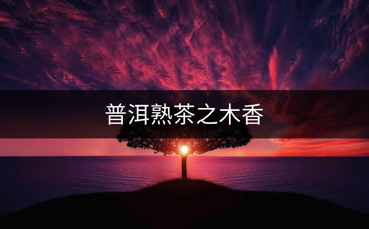 普洱熟茶之木香 普洱熟茶之木香