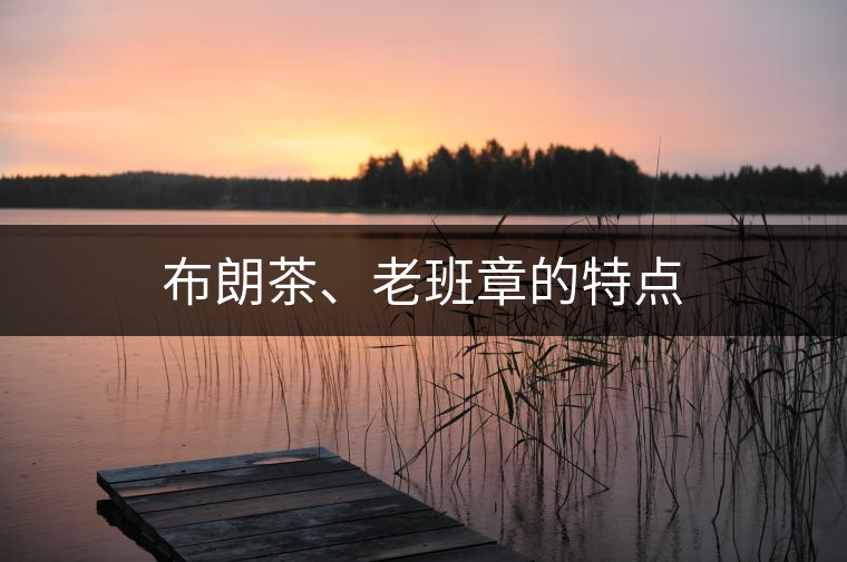 布朗茶、老班章的特點(diǎn)