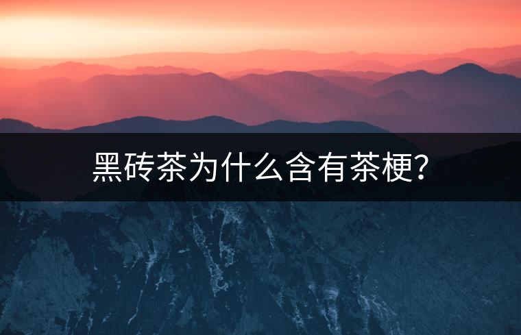 黑磚茶為什么含有茶梗？