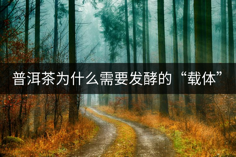 普洱茶為什么需要發(fā)酵的“載體”？