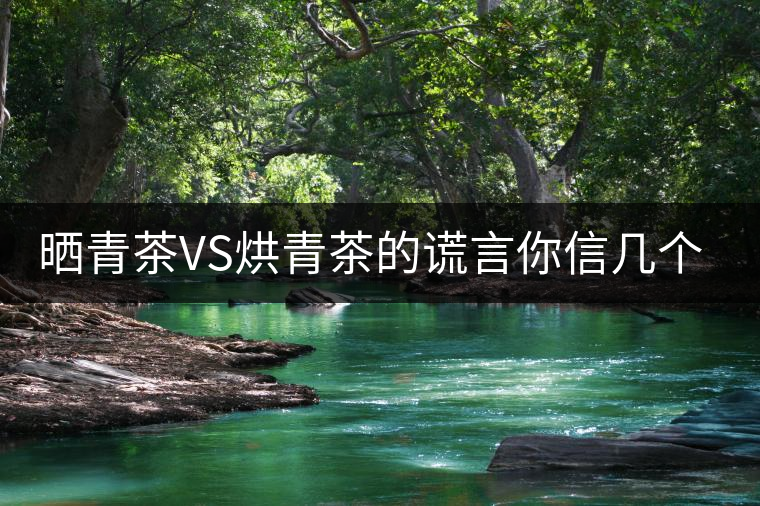 曬青茶VS烘青茶的謊言你信幾個？