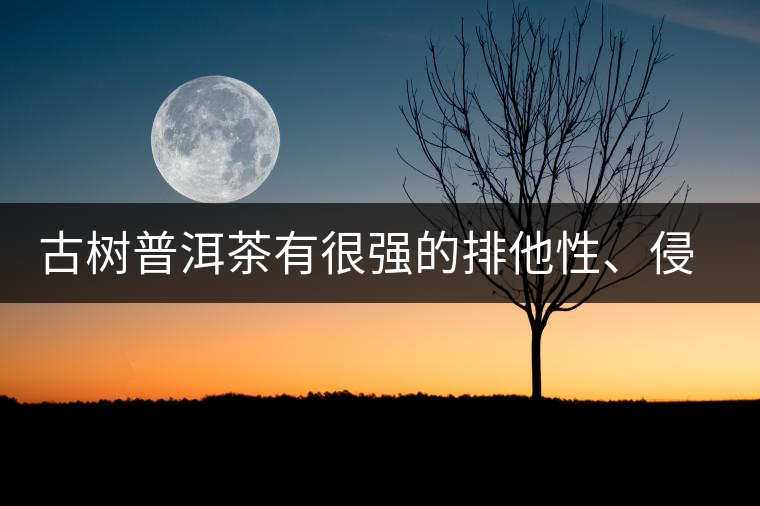 古樹普洱茶有很強的排他性、侵略性、吸納性