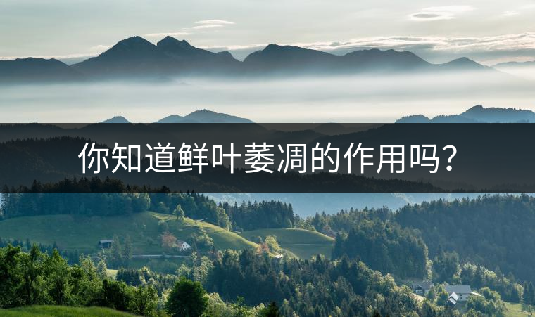 你知道鮮葉萎凋的作用嗎？