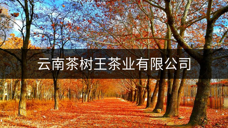 云南茶樹(shù)王茶業(yè)有限公司 云南茶樹(shù)王茶業(yè)有限公司
