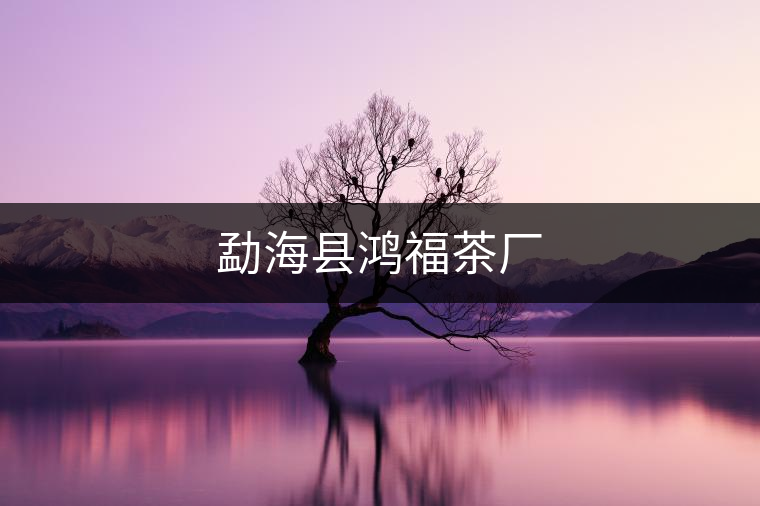 勐?？h鴻福茶廠