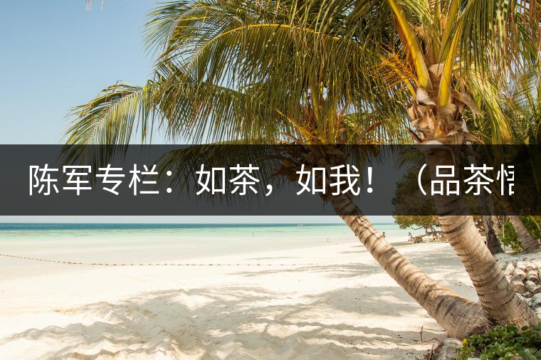 陳軍專欄：如茶，如我！（品茶悟道）