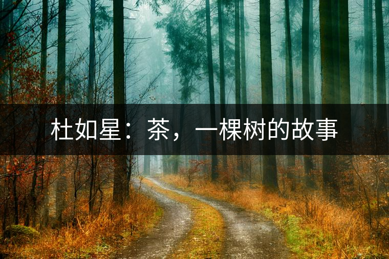 杜如星：茶，一棵樹(shù)的故事