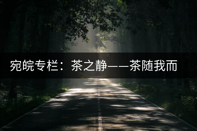 宛皖專欄:茶之靜——茶隨我而靜 宛皖專欄:茶之靜——茶隨我而靜