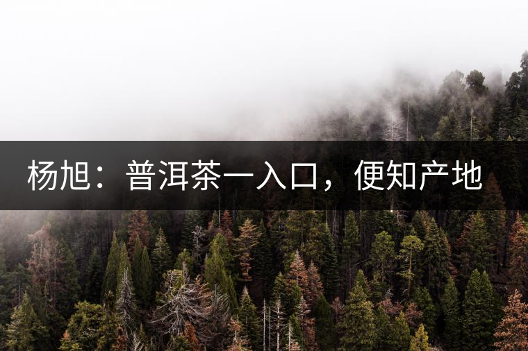 楊旭:普洱茶一入口,便知產(chǎn)地和年份 楊旭:普洱茶一入口,便知產(chǎn)地和年份