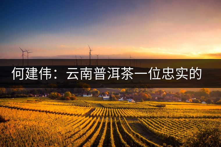 何建偉：云南普洱茶一位忠實(shí)的吶喊者