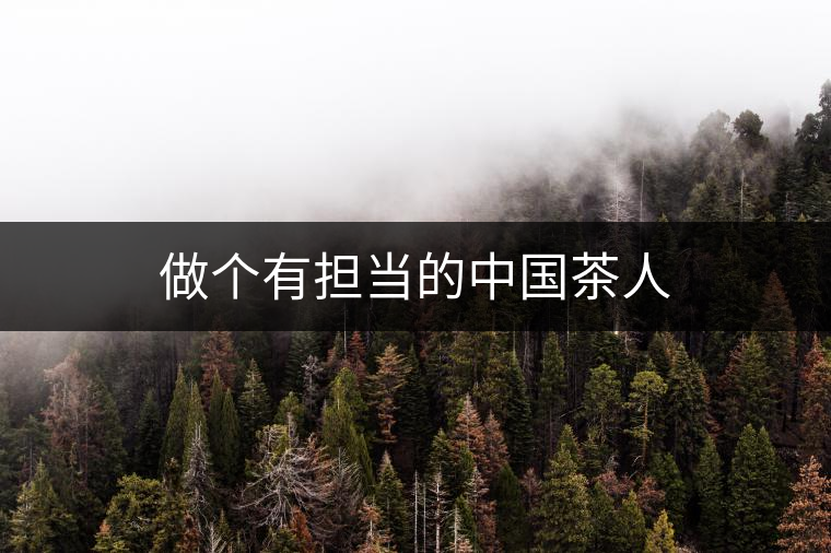 做個(gè)有擔(dān)當(dāng)?shù)闹袊?guó)茶人