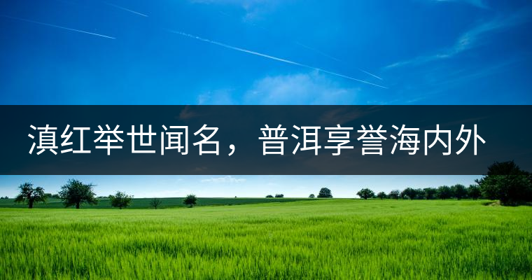 滇紅舉世聞名，普洱享譽海內(nèi)外丨專家座談——虞富蓮