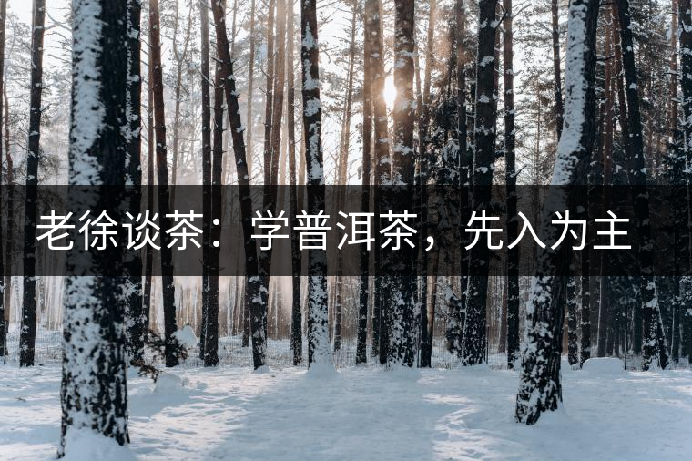 老徐談茶：學普洱茶，先入為主易被打臉，還得實踐出真知！