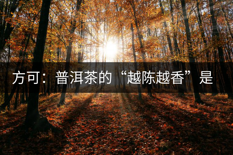 方可：普洱茶的“越陳越香”是有條件、有技術(shù)的