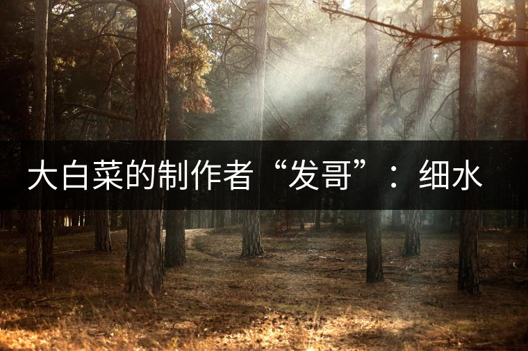 大白菜的制作者“發(fā)哥”：細(xì)水長(zhǎng)流，做茶“急不得”
