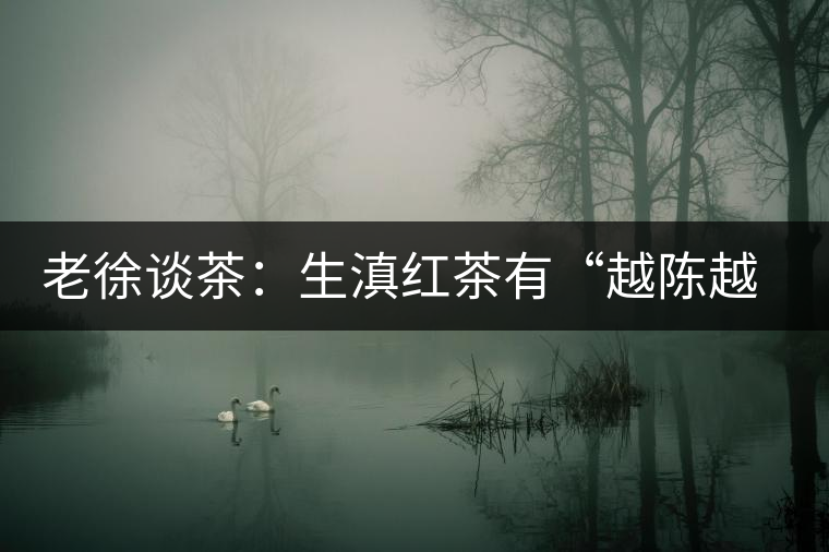 老徐談茶：生滇紅茶有“越陳越香”的特點嗎？