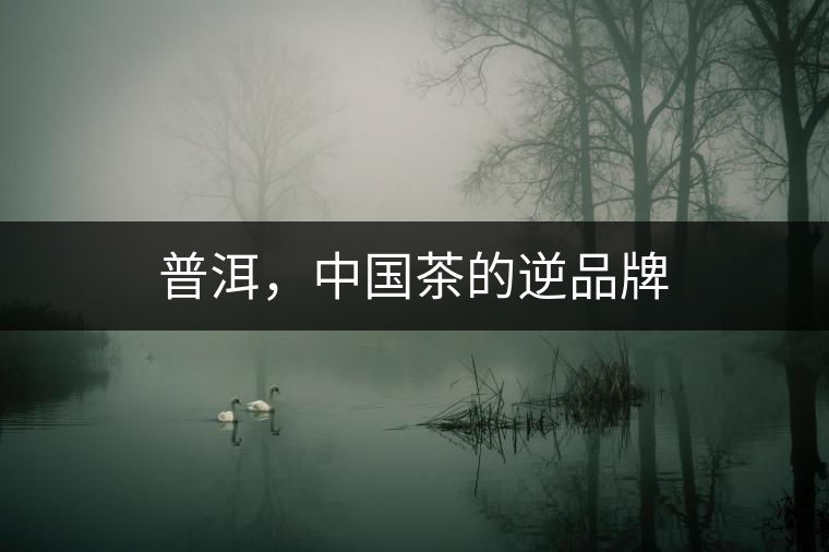 普洱，中國茶的逆品牌