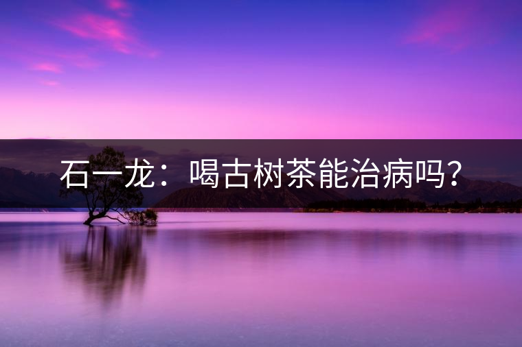 石一龍：喝古樹茶能治病嗎？