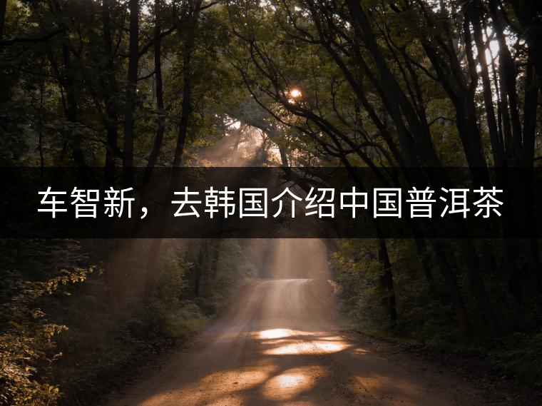 車智新，去韓國介紹中國普洱茶