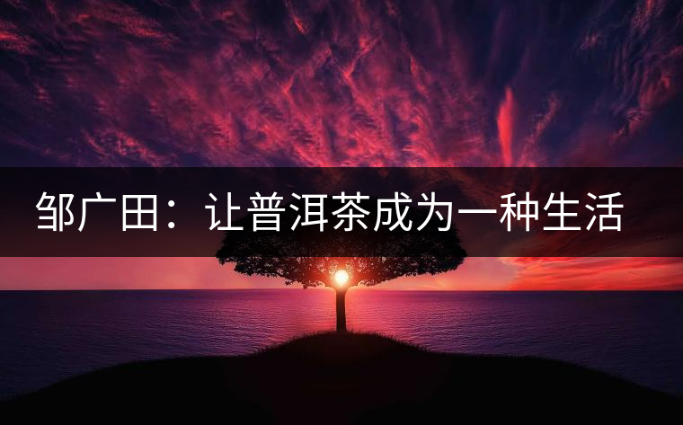 鄒廣田:讓普洱茶成為一種生活方式 鄒廣田:讓普洱茶成為一種生活方式