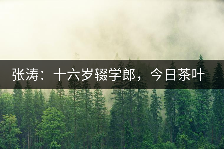 張濤：十六歲輟學(xué)郎，今日茶葉中堅(jiān)