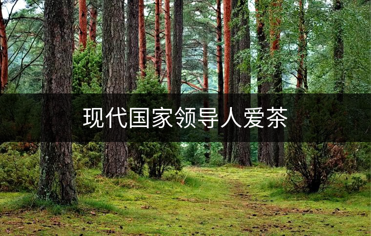 現(xiàn)代國(guó)家領(lǐng)導(dǎo)人愛(ài)茶