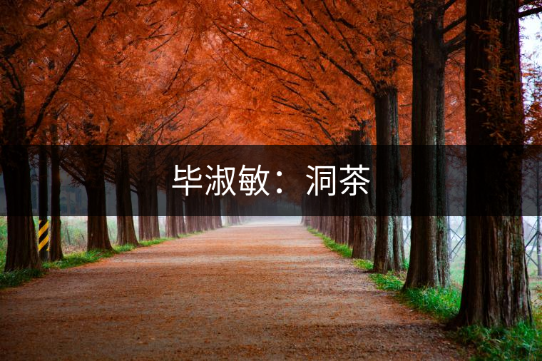 畢淑敏:洞茶 畢淑敏:洞茶