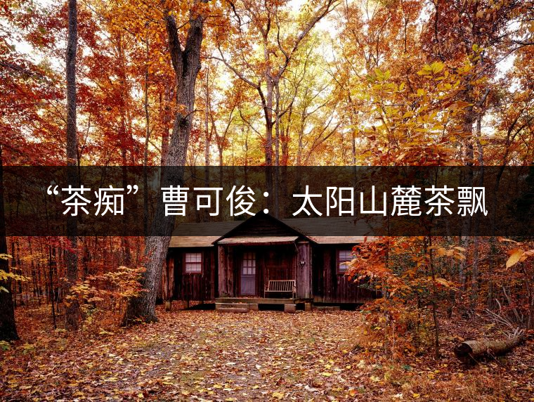 “茶癡”曹可?。禾柹铰床栾h香，清明時(shí)節(jié)采茶忙