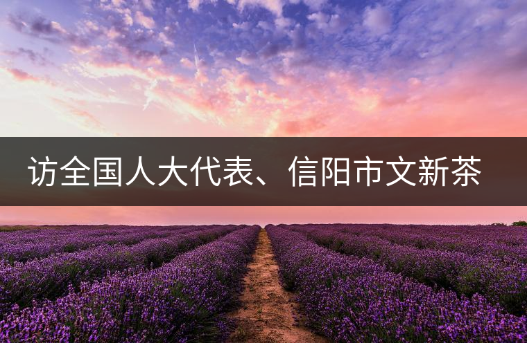 訪全國(guó)人大代表、信陽(yáng)市文新茶葉有限責(zé)任公司董事長(zhǎng)劉文新