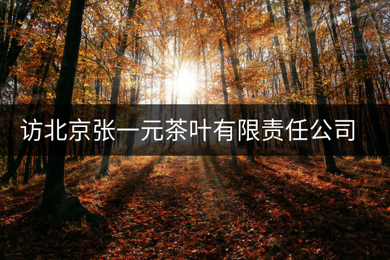 訪北京張一元茶葉有限責(zé)任公司董事長(zhǎng)王秀蘭 訪北京張一元茶葉有限責(zé)任公司董事長(zhǎng)王秀蘭