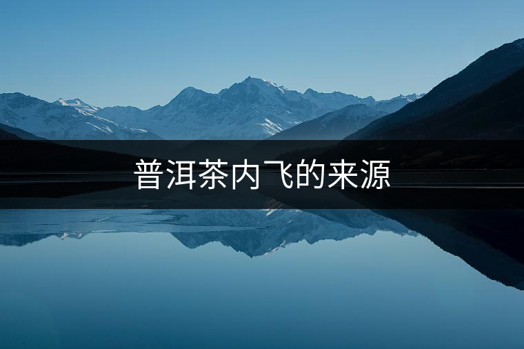 普洱茶內飛的來源 普洱茶內飛的來源