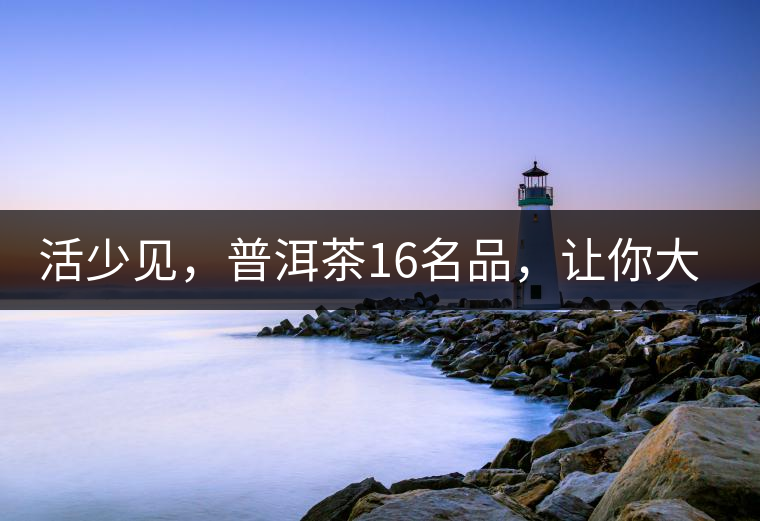 活少見，普洱茶16名品，讓你大開眼界