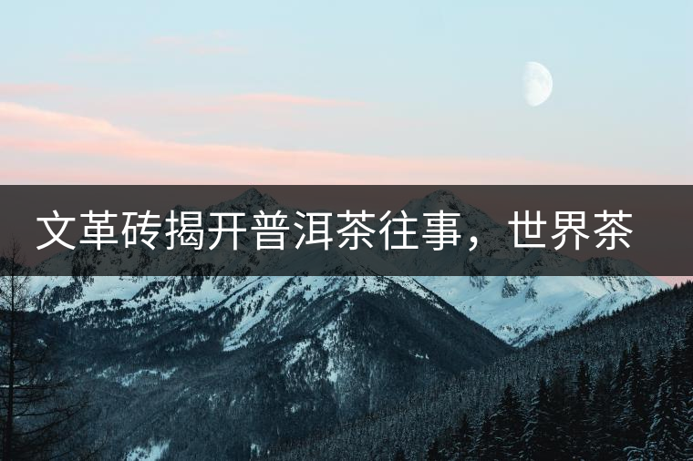 文革磚揭開普洱茶往事，世界茶文化交流協(xié)會(huì)成員共品經(jīng)典文革磚！