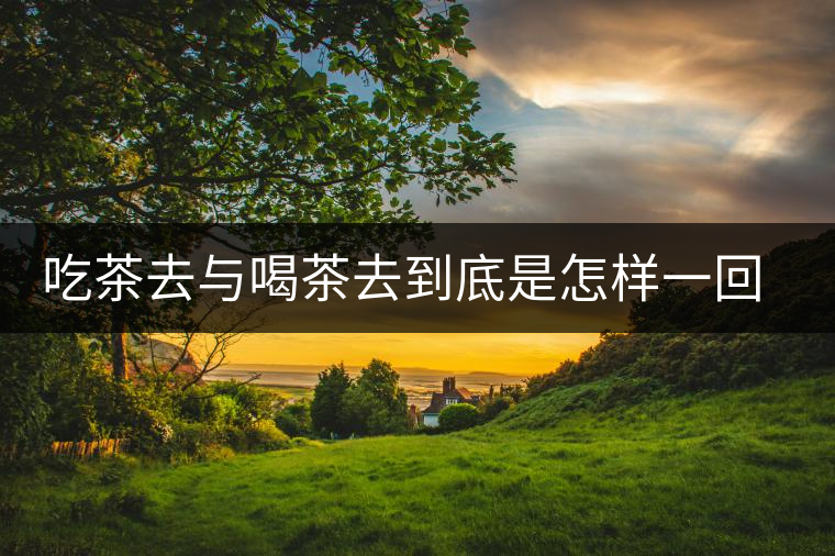 吃茶去與喝茶去到底是怎樣一回事呢 吃茶去與喝茶去到底是怎樣一回事呢