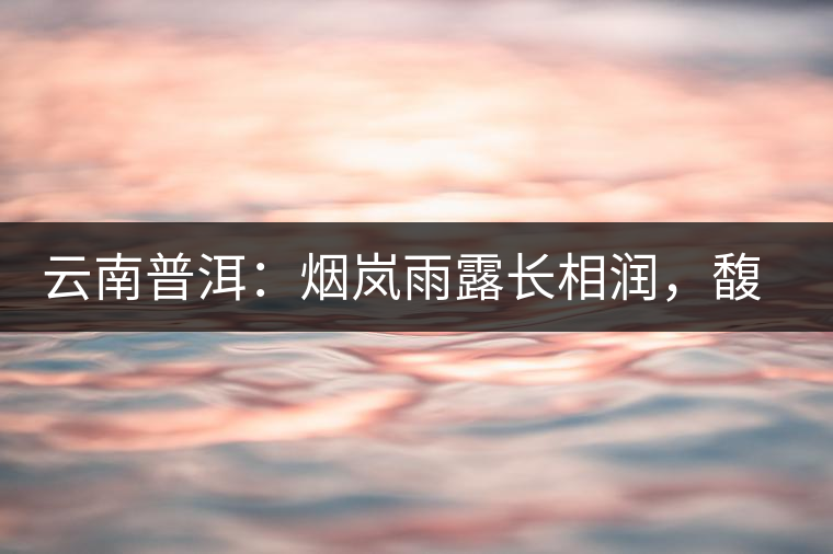 云南普洱：煙嵐雨露長相潤，馥郁芳香久久留
