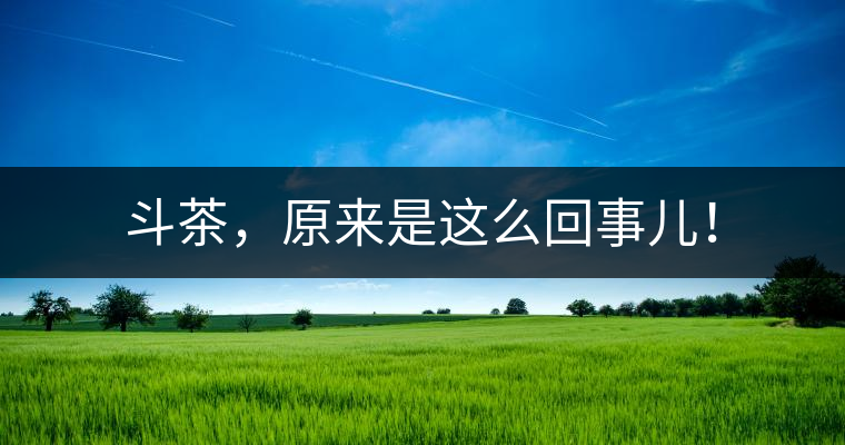 斗茶，原來是這么回事兒！