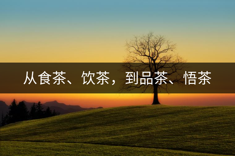 從食茶、飲茶，到品茶、悟茶