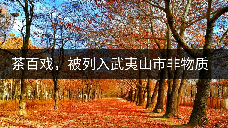 茶百戲，被列入武夷山市非物質(zhì)文化遺產(chǎn)的茶湯