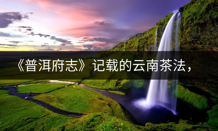 《普洱府志》記載的云南茶法，歷史上唯一為一種茶量身定制的法律