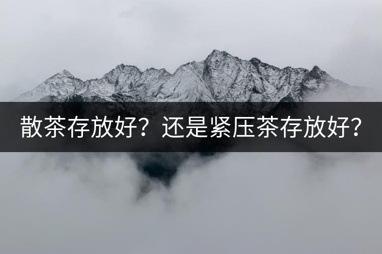 散茶存放好？還是緊壓茶存放好？