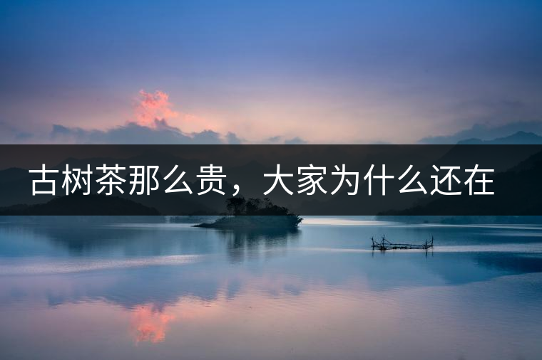 古樹茶那么貴，大家為什么還在瘋狂追求？