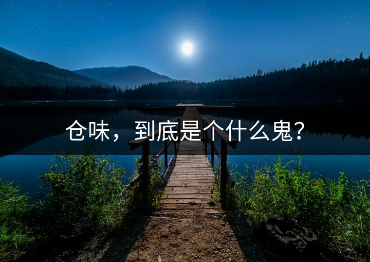 倉味，到底是個(gè)什么鬼？