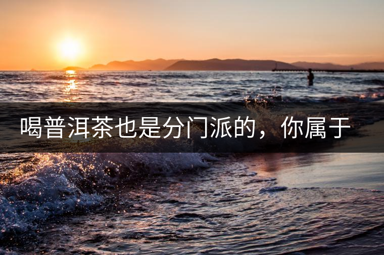 喝普洱茶也是分門派的，你屬于哪派呢？