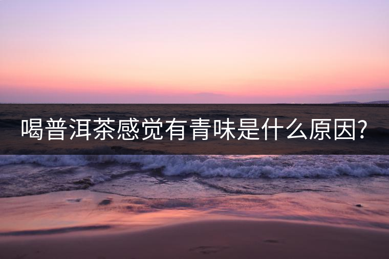 喝普洱茶感覺(jué)有青味是什么原因? 喝普洱茶感覺(jué)有青味是什么原因?