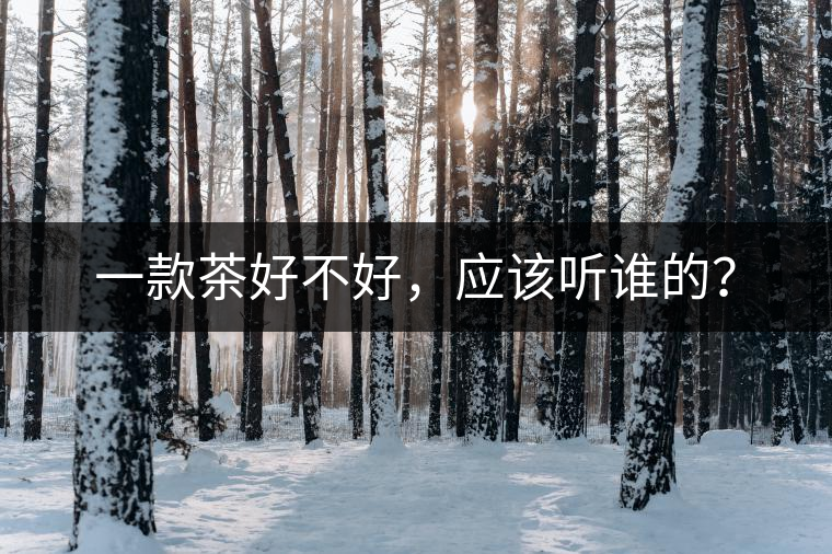 一款茶好不好，應(yīng)該聽誰的？