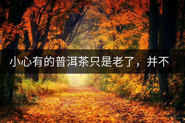 小心有的普洱茶只是老了，并不是好了